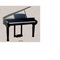 Piano RINGWAY cola GDP1000L