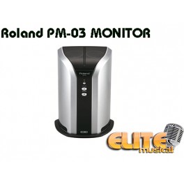 Amplificador Roland PM03