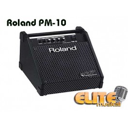 Amplificador Roland PM10