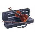 Violin CARLO GIORDANO VS2 3/4